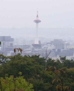 Comercio de emisiones de acuerdo al protocolo de Kioto