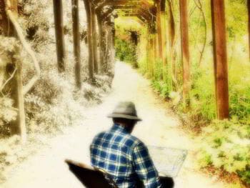 Entornos visuales para mejorar los procesos de aprendizaje