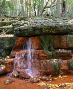 Formas de nacimiento de los negocios