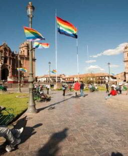 Tratados internacionales y control constitucional a priori de las normas convencionales en el Perú