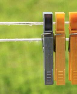 Retención del capital humano en las empresas