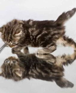 Dialogo con nosotros mismos y con los demás