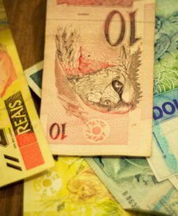 Capital de giro e sobrevivência aziendal