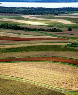 Kaizen y su aplicación en explotaciones agrícolas
