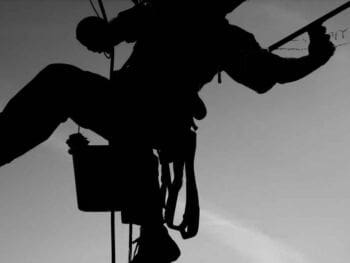 Sistema continuo de ordenamiento y limpieza SCOL