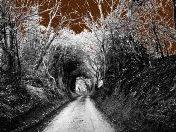 Latinoamérica desorientada entre el Atlántico y el Pacífico Latinoamérica desorientada entre el Atlántico y el Pacífico