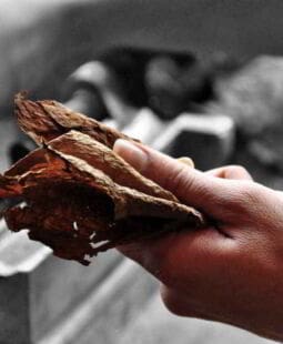 Fundamentación teórica de costos para su aplicación al proceso del beneficio de tabaco