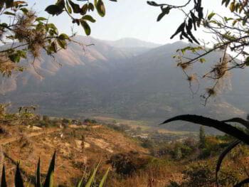 Efectos de la ley de promoción de la inversión en la amazonía peruana en Huánuco