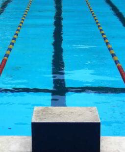 Sistema de banda cambiaria. Presentación