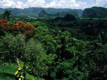 Formación del ingeniero agrónomo en la Universidad de Pinar del Río
