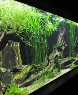 La agenda ambiental Colombia siglo XXI