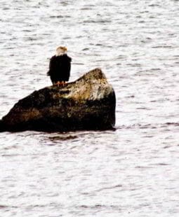 Reflexiones sobre «El Secreto” de Ken Blanchard