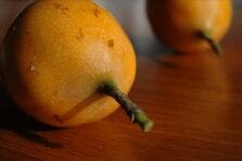 Plan de negocios para la creación de una empresa agrícola productora de granadilla orgánica tipo exportación en Zetaquira, Boyacá, Colombia