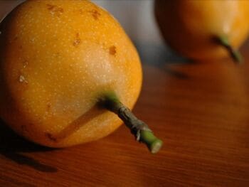 Plan de negocios para la creación de una empresa agrícola productora de granadilla orgánica tipo exportación en Zetaquira, Boyacá, Colombia Plan de negocios para la creación de una empresa agrícola productora de granadilla orgánica tipo exportación en Zetaquira, Boyacá, Colombia