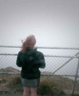 Seguros y manejo de los riesgos