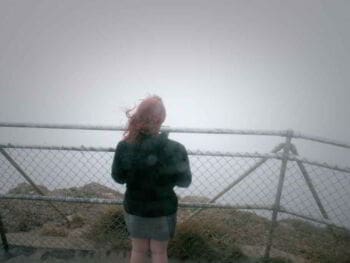 Seguros y manejo de los riesgos