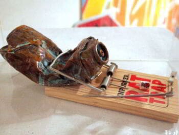 Control institucional de las direcciones de educación en Perú. Apoyo en la lucha contra la corrupción