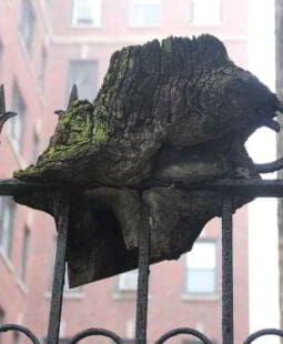La resiliencia