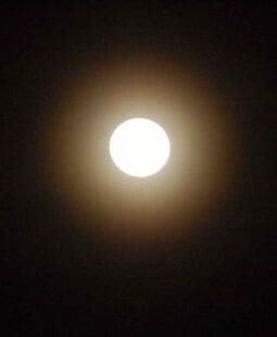 La empresa holística