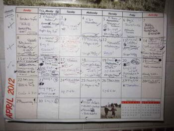 Planificación y organización de la fuerza de ventas