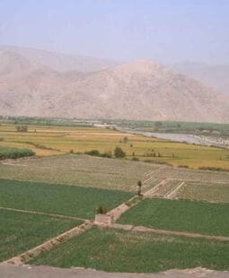 Programa Sierra Exportadora para el desarrollo rural del Perú. Presentación