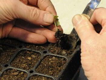 20 consejos para el desarrollo de nuevos negocios