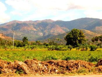 Análisis ambiental y socioeconómico de la Reserva Científica Ebano Verde. República Dominicana