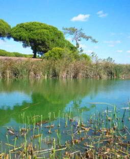 Análisis estratégico situacional de una reserva natural