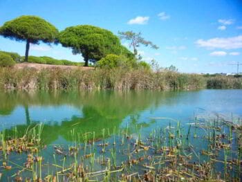Análisis estratégico situacional de una reserva natural