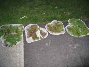 Proceso CPS Creative Problem Solving Proceso CPS Creative Problem Solving