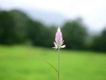 Evaluar el potencial de un candidato en selección de personal Evaluar el potencial de un candidato en selección de personal