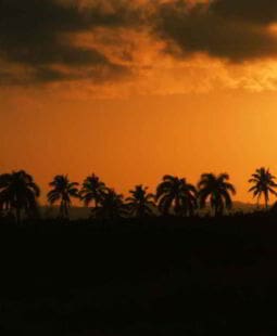 La justicia ambiental en Cuba