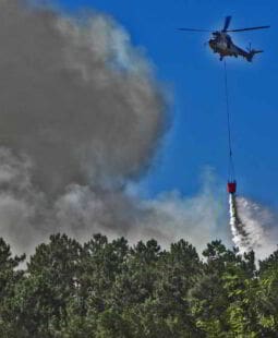 Incidencia de los incendios forestales en un parque natural.