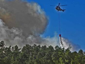 Incidencia de los incendios forestales en un parque natural.
