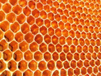 La organización y los sistemas de información