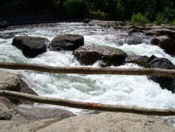 Evaluación ecológica rápida EER de un área natural protegida
