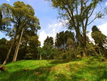 Capacidad de uso de la tierra del Parque Nacional Juan Bautista Pérez Rancier. República Dominicana