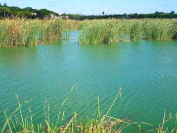Modelo de compensación ambiental para un parque natural en República Dominicana