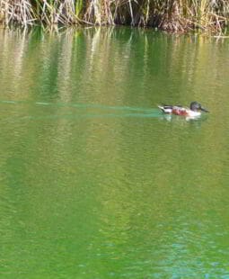 Ficha técnica del plan de manejo del parque Juan Bautista Pérez Rancier