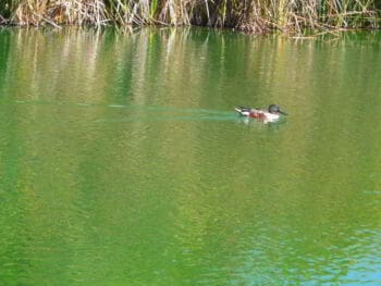 Ficha técnica del plan de manejo del parque Juan Bautista Pérez Rancier