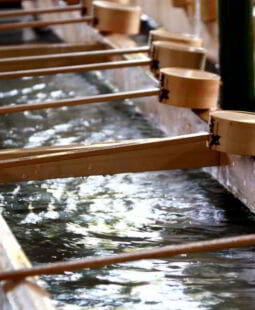 Proyecto empresarial de purificadores de agua. Aplicación del modelo de Gary Hamel