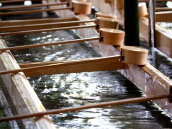 Proyecto empresarial de purificadores de agua. Aplicación del modelo de Gary Hamel Proyecto empresarial de purificadores de agua. Aplicación del modelo de Gary Hamel