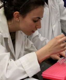 Diseño teórico metodológico de la investigación