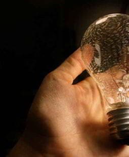 Innovación y lanzamiento de productos y servicios