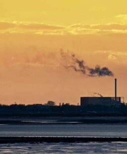 Cambio climático y principio de baja emisión de carbono