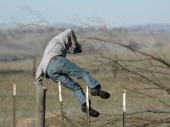 Evasión fiscal en México