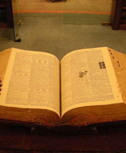 Diccionario de términos tributarios