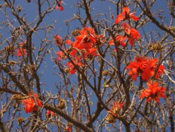 Diseño del programa de gestión ambiental en una empresa cubana Diseño del programa de gestión ambiental en una empresa cubana