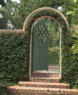 Expectativas de la organización abierta al aprendizaje