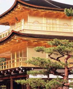 La economía de Japón en Mayo y Junio de 2009